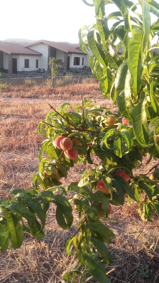 Agriturismo Gennemara B&B Perdaxius ภายนอก รูปภาพ